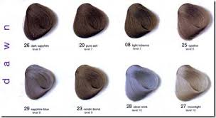 Pravana Chromasilk Vivids Color Chart Sbiroregon Org