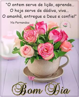 Resultado de imagem para flor de bom dia"