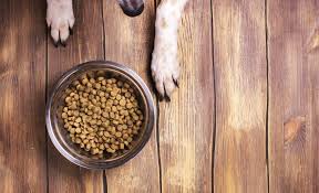 4.6 out of 5 stars 201. Wag Dog Food Review 2021 How Does Amazon S Dog Food Brand Stack Up