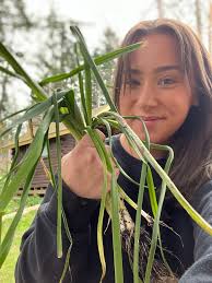 DOWN BY A CREEK We used to live down by a creek Where I grew up to be quite  a geek Much to learn, but easier than greek An enthusiast, with a