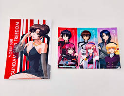 ガンダムSEED＆DESTINY アスカガ 同人誌 真逆のモザイク 5冊セット アスラン×カガリ 問わず語り