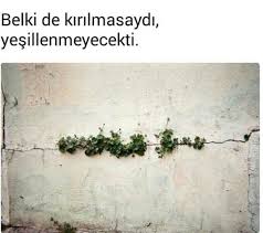 Ahmet Sibel S Adli Kullanicinin Loved Panosundaki Pin Guzel Soz Siir Duvar Sozleri