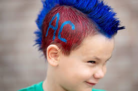 Tennessee high school football: Anderson County vs. Jefferson County in  pictures