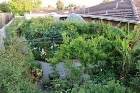 The permaculture principles and ethics guide the permaculture process; The Birth Of A Permaculture Food Forest Before After Photos Deep Green Permaculture