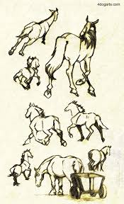 Horses Running Away Sketches Horse Drawings Animal Art Art Reference Poses