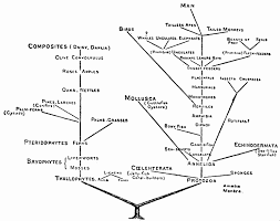 Nanda dynasty, family that ruled magadha, in northern india, between c. The Churches And Modern Thought An Inquiry Into The Grounds Of Unbelief And An Appeal For Candour