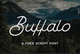 A script typeface with 1 style, available from adobe fonts for sync and web use. 35 Gorgeous Script Fonts For Designers Super Dev Resources