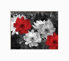 Red, black and white living room designs. Black White Red Flowers Decor Red Bathroom Bedroom Picture Etsy