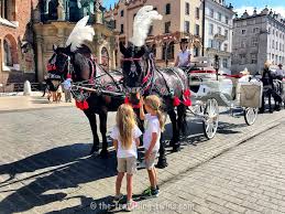 Europe's silicon valley web page was the on line hub. Things To Do In Krakow With Kids Family Guide To Krakow
