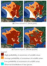 Biologiste britannique en 4 lettres. Energies Free Full Text Expected Global Warming Impacts On The Spatial Distribution And Productivity For 2050 Of Five Species Of Trees Used In The Wood Energy Supply Chain In France Html