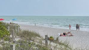 Image result for Sandy Beach 2013 Captiva