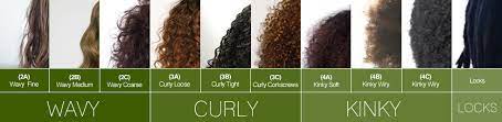 Most common hair types in black hair natural hair types hair type natural hair styles. Death To The Curl Pattern Chart Dominique Brienne