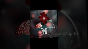 35 angebote ab 7,50 €. Hy Ma Marjavan Mere Jan Kalya Status Youtube