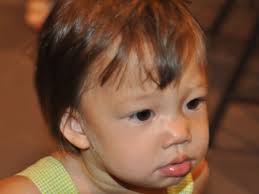 Southern Matters--Supplemental Images