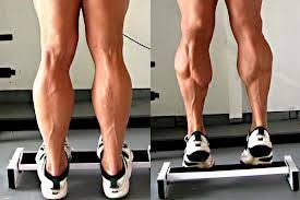 Gastrocnemius Soleus Muscles Stretch And Strengthen Equinox Health Clinic Victoria Bc Calf Muscle Workout Calf Exercises Calf Muscles