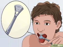 Find the most relevant results with searchandshopping.org. How To Strengthen Teeth And Gums With Pictures Wikihow