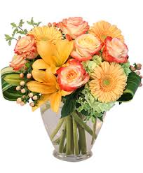 We did not find results for: Houston Florist Houston Tx Flower Shop T G F Flowers