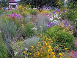 How to plant a garden in colorado. Prairiebreak Singing A Different Tune The Colorado Prairie Style