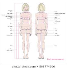 Royalty Free Woman Body Measurement Chart Stock Images