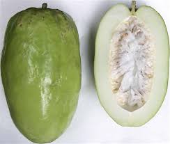 We did not find results for: 30 Exotic Tropical Fruits Of Colombia A Fruit Lovers Paradise