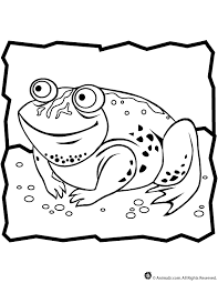 They are stepping up mental activity, form the aesthetic taste and instill a love. Toad Coloring Page Woo Jr Kids Activities