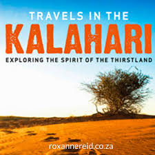 Roxanne Reid Africa Travel Travel Writer How To Plan