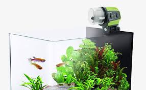 Things that you will need: Best Automatic Fish Feeder For Easy Feeding 13 Tested Fishlab