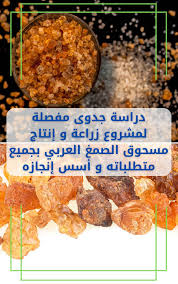 دراسة جدوى مفصلة لمشروع زراعة و إنتاج مسحوق الصمغ العربي بجميع متطلباته و  أسس إنجازه