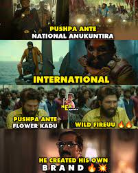 images?q=tbn:ANd9GcRdHFpL_y3ZVIjhrtvGr8b