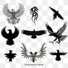  Eagles Png Vector Psd And Clipart With Transparent Background For Free Download Pngtre Eagle Illustration Graphic Design Background Templates Eagle Images