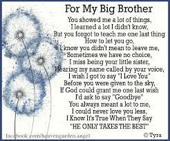 Memorial Poems Big Brother Gone Heavens Garden Big Brother Quotes Brother Quotes Brother Birthday Quotes