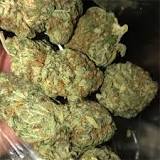 Sour OG aka Sour OG Kush Weed Strain Information | Leafly