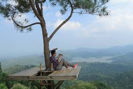 Untuk bisa ke tempat wisata tersebut, kamu bisa langsung datang ke dusun kediwung. 7 Perkara Anda Perlu Tahu Sebelum Travel Ke Jogjakarta Indonesia