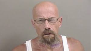 'Walter White' lookalike's mugshot has 'Breaking Bad' fans doing  double-take