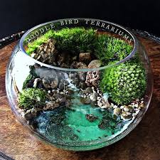 Waterfall Themed Bowl Terrarium From Apollo Box In 2020 Terrarium Bowls Terrarium Terrarium Scene