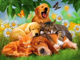 48 3d Animal Wallpapers For Desktop On Wallpapersafari