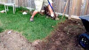 Maybe you would like to learn more about one of these? Download E Book Loosen The Dirt From Garden An Easier Way To Loosen The Dirt From Garden