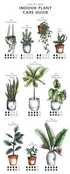 How To Care For Indoor Plants Collective Gen Growing Plants Indoors Indoor Plant Care Guide Indoor Plant Care