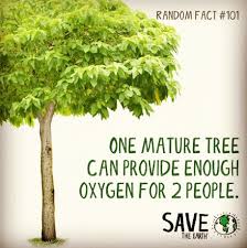 Random Fact 101 Help Us Plant More Trees Trees To Plant Plants Green Solutions