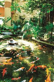 Thus, we take pride in making our food , your food. Enjoying Outdoor Freshness Indoors Edgeprop My