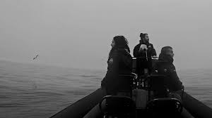 Giuliano zuccoli, presidente e ad di aem milano ha risposto così a chi ieri gli chiedeva come andava la trattativa con asm brescia, ma ha anche aggiunto. Il Nostro Approccio Scopri Come Sea Shepherd Si Comporta E Agisce