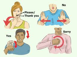 How To Sign Simple Phrases In British Sign Language 6 Steps