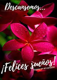 Felices Suenos Postales De Buenas Noches Reflexiones De Buenos Dias Suenos