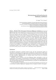 Image result for Sherbournia bignoniiflora