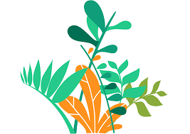 Biogene amine sind primäre amine, die im stoffwechsel (von mikroorganismen, pflanzen, tieren und menschen) durch enzymatische decarboxylierung von aminosäuren entstehen. Biogene Amine Intoleranz Erklart Immunoloco