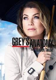Télécharger et regarder grey's anatomy saison 17 vostfr episode 1 en streaming gratuit, c'est l'histoire de meredith grey, interne, résidente puis. Regarder Grey S Anatomy Saison 12 Episode 1 Streaming Vf Vostfr Gratuit