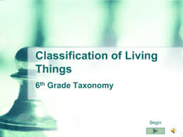 6 01 Classification Of Living Organisms Instructions