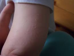 Jason, Lori, and Liam Tremblay