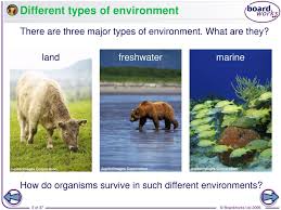 We did not find results for: Ppt Different Types Of Environment Powerpoint Presentation Free Download Id 666976