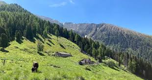 Rifugio Tonini, partita la sfida progettuale per la ricostruzione ...